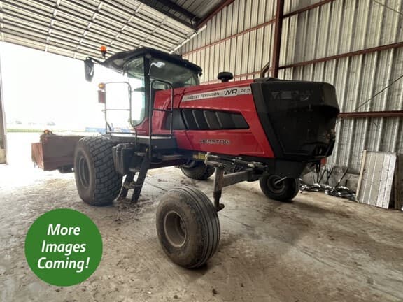 Image of Massey Ferguson WR265 Primary Image