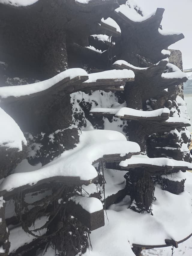 Image of Meyer's MS485 equipment image 4