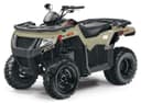 2024 Arctic Cat Alterra 300 Image