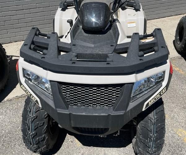 Image of Arctic Cat Alterra 300 Primary Image