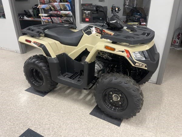Image of Arctic Cat Alterra 300 Image 1