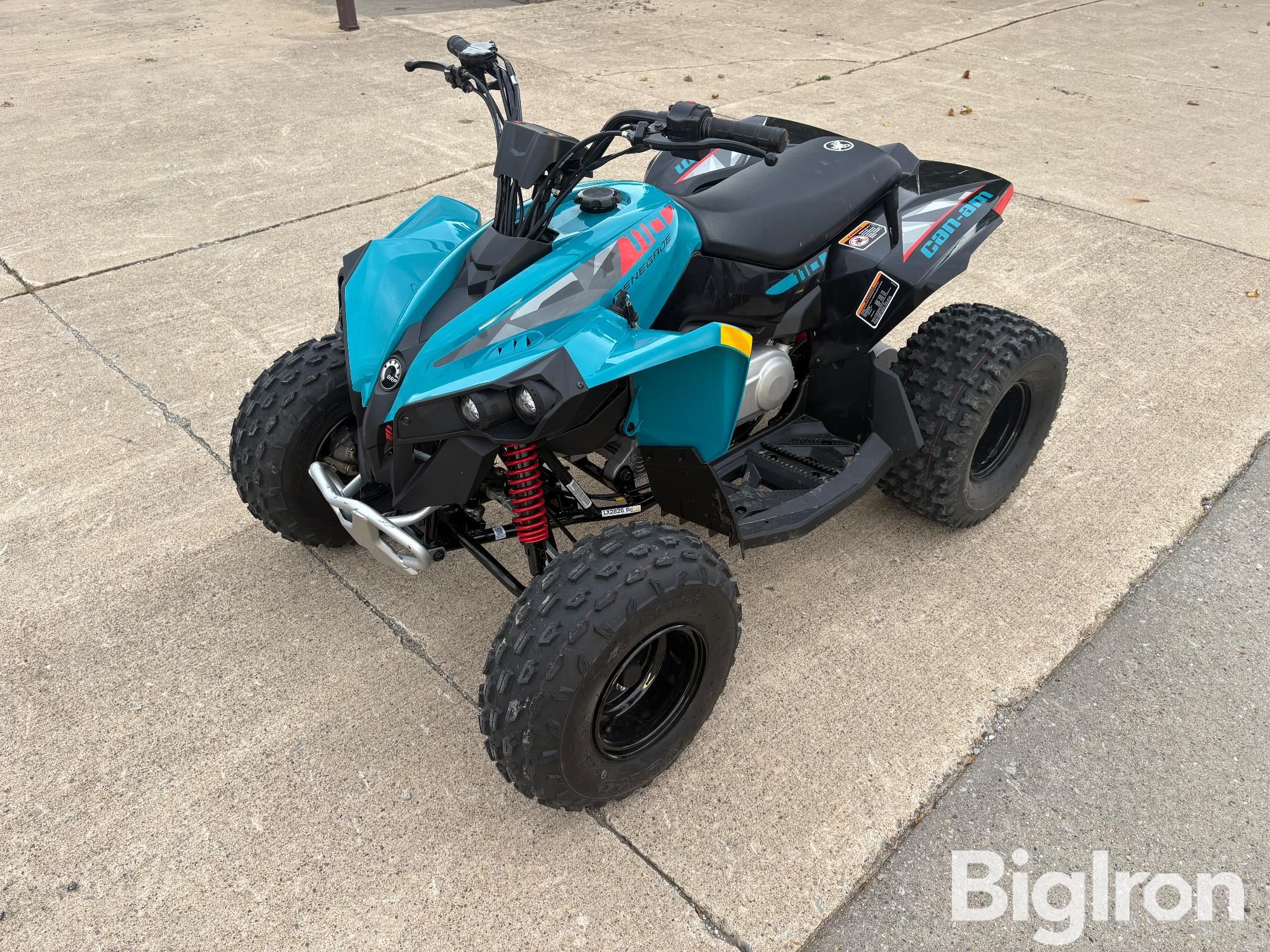 Main image Can-Am Renegade 110