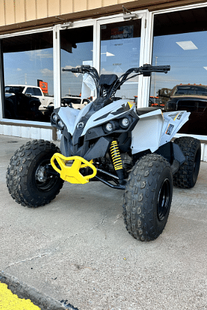 Image of Can-Am Renegade 110 Image 0