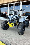 2024 Can-Am Renegade 110 Image