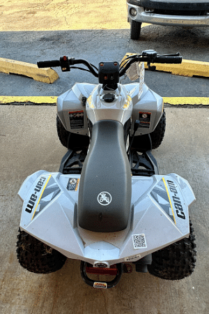 Image of Can-Am Renegade 110 Image 1