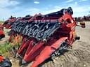 2024 Case IH 4412F Image