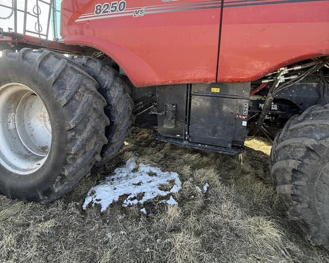 Image of Case IH 8250 equipment image 4