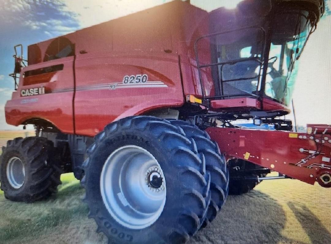 Image of Case IH 8250 Primary Image