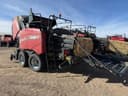 2024 Case IH LB434XL Image