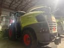 2024 CLAAS Jaguar 980 Image