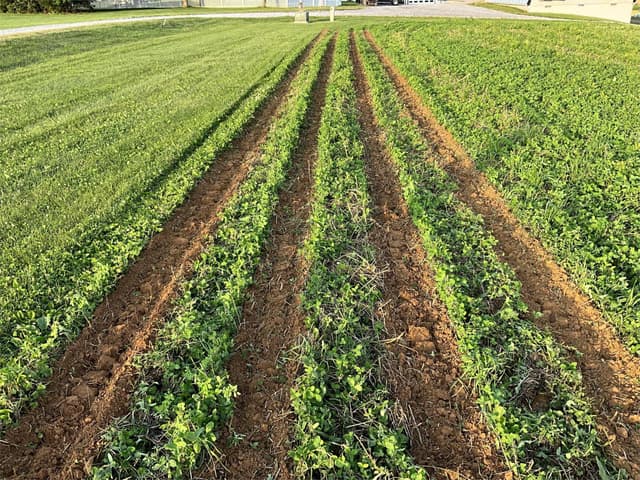 Image of Falc Strip-till 3000 equipment image 2