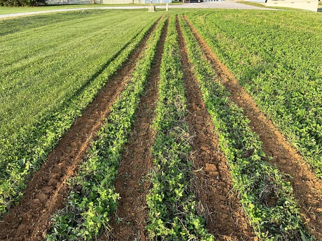 Image of Falc Strip-till 3000 equipment image 2