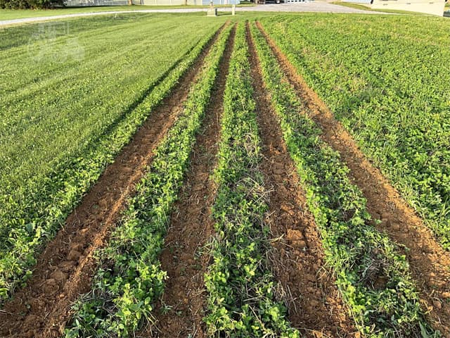 Image of Falc Strip-till 3000 equipment image 2