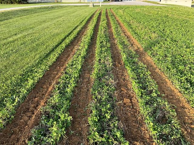 Image of Falc Strip-till 3000 equipment image 1