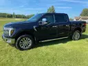 2024 Ford F-150 Image