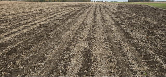 Image of Great Plains SS1300 equipment image 4