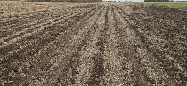 Image of Great Plains SS1300 equipment image 4