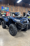 2024 Kawasaki Brute Force 750 Image