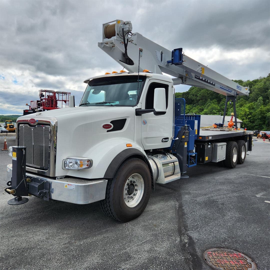 Image of Manitex 30100C Primary image