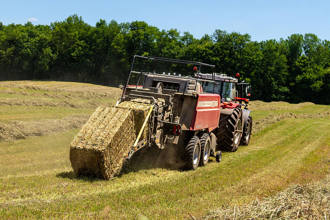 Image of Massey Ferguson LB2233 Image 1