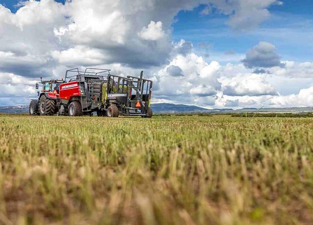 Image of Massey Ferguson LB2244 equipment image 4