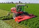 2024 Massey Ferguson WR235 Image