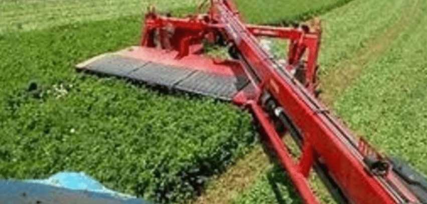 2025 New Holland Discbine 310 Plus Equipment Image0