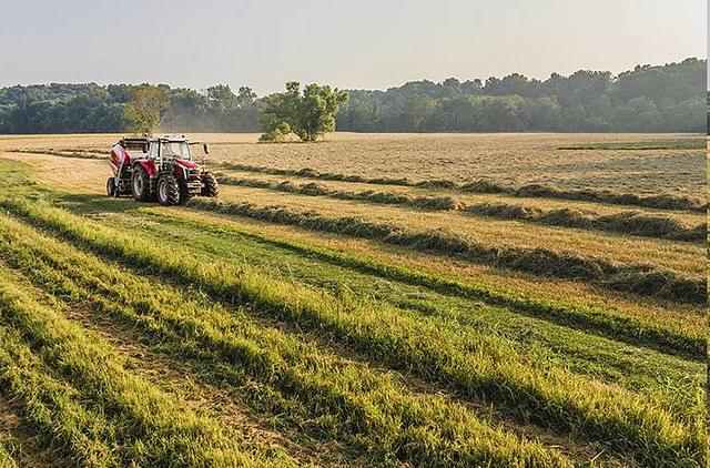 Image of Massey Ferguson RB.156 equipment image 1