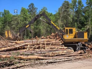 2024 Tigercat 250D Image
