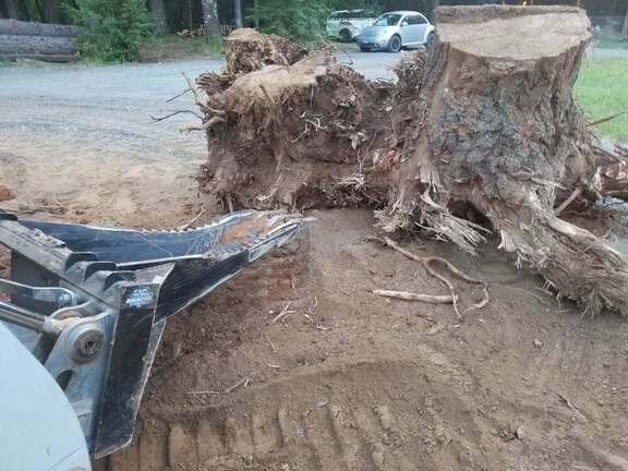 Image of Blue Diamond Stump Bucket Image 0