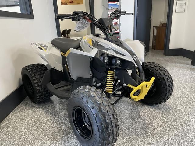 Image of Can-Am Renegade 110 equipment image 4