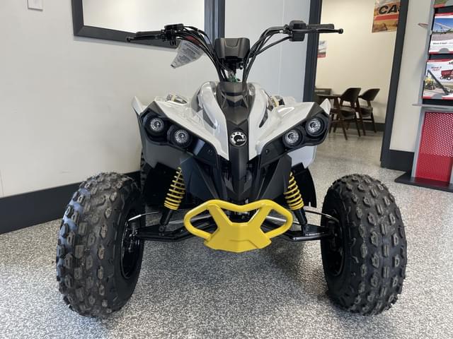 Image of Can-Am Renegade 110 equipment image 3