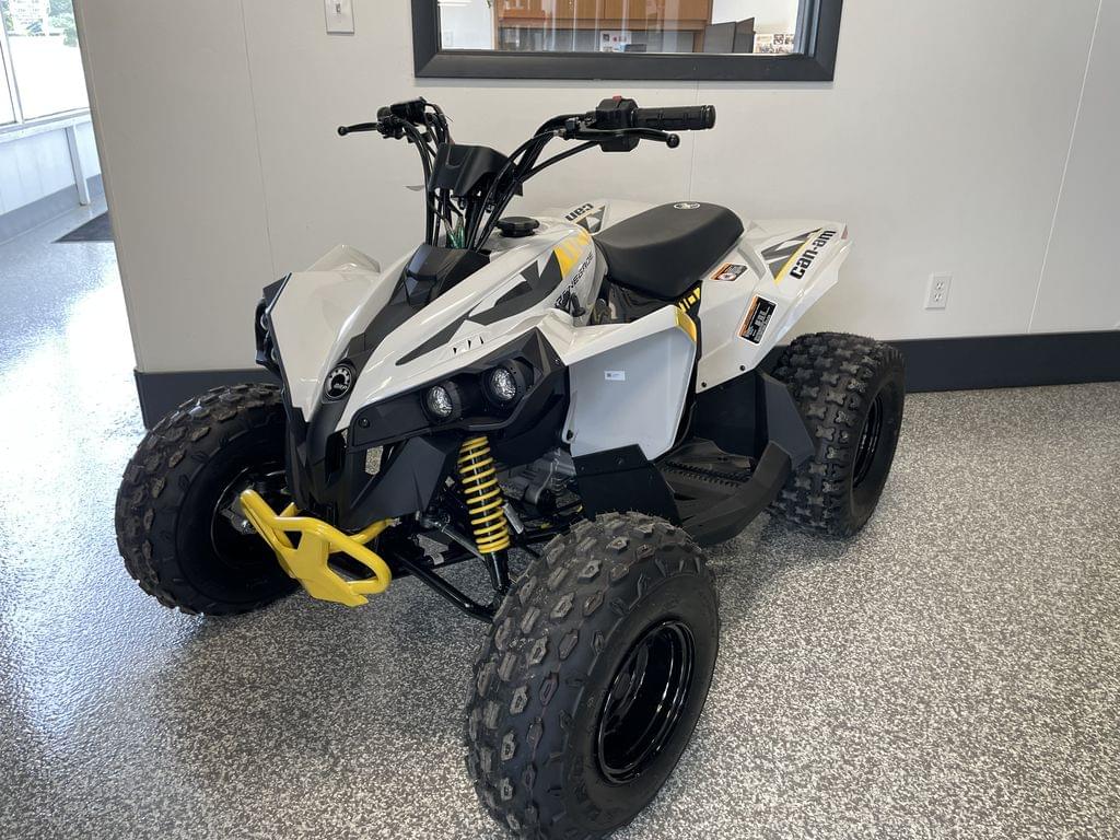 Image of Can-Am Renegade 110 Primary image