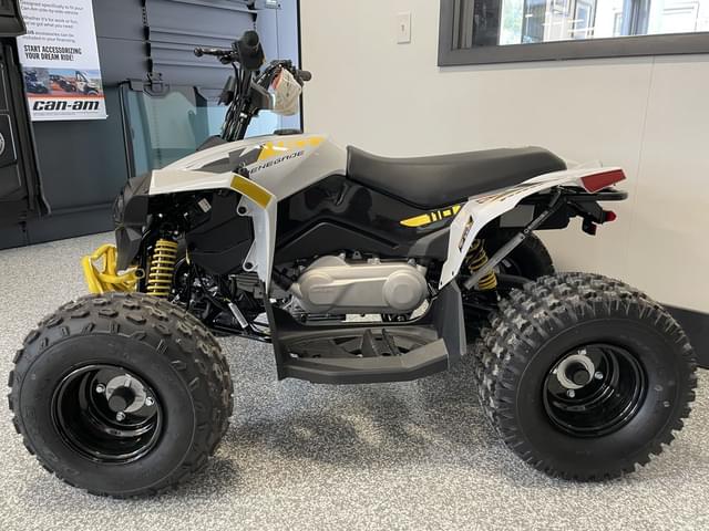 Image of Can-Am Renegade 110 equipment image 1