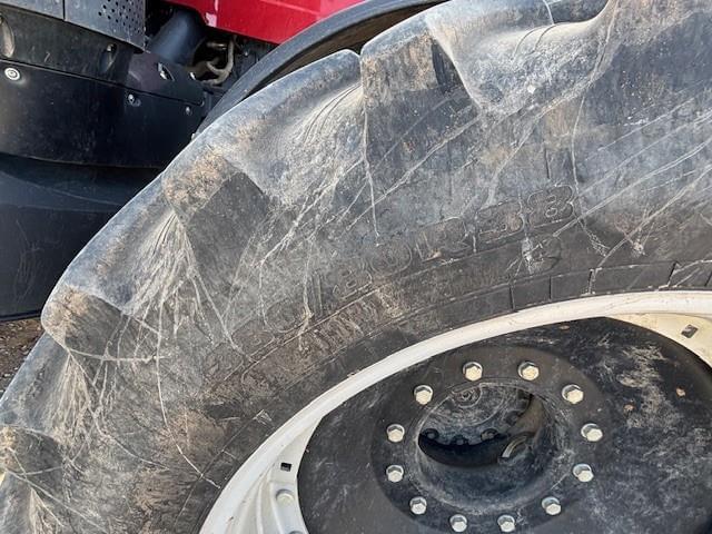 Image of Case IH Magnum 295 equipment image 1