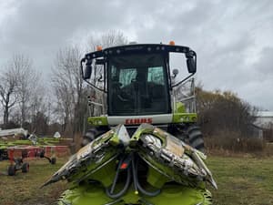 2025 CLAAS Jaguar 960 Image