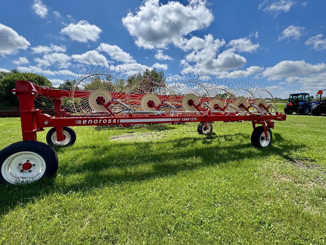 Image of Enorossi Easy Rake 12 Image 1