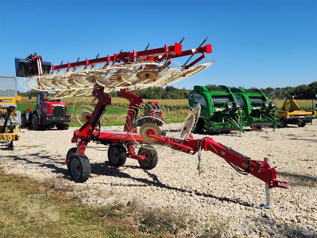 Image of Enorossi Maximus Image 1