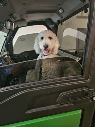 Image of John Deere XUV 845R  equipment image 4