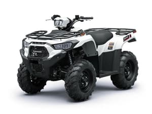 2025 Kawasaki Brute Force 450 Image