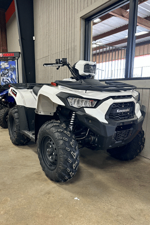 Image of Kawasaki Brute Force Image 0