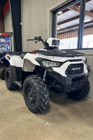 Main image Kawasaki Brute Force