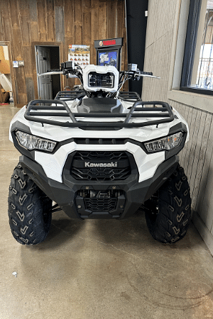 Image of Kawasaki Brute Force Image 1