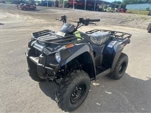 2025 Kawasaki Brute Force 300 Image