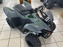 2025 Kawasaki KFX 50 Image