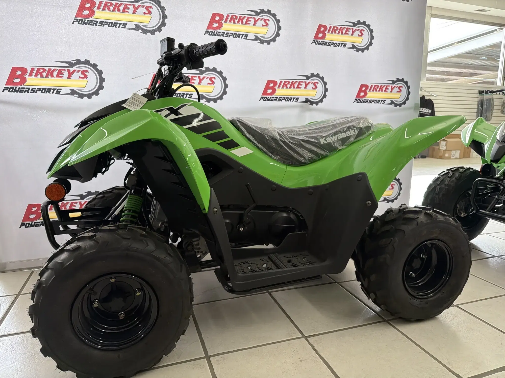 2025 Kawasaki KFX 50 Equipment Image0