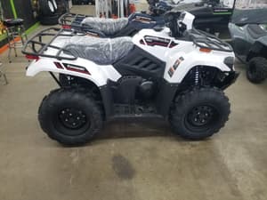 2025 Kawasaki Brute Force 450 Image