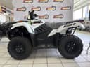 2025 Kawasaki Brute Force 450 Image