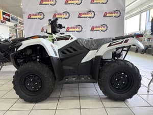 2025 Kawasaki Brute Force 450 Image