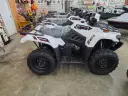 2025 Kawasaki Brute Force 450 Image
